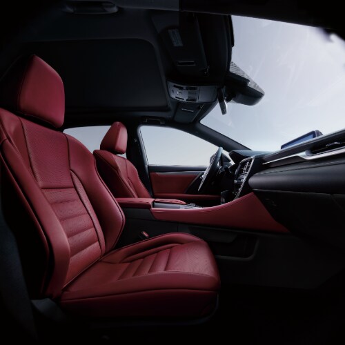 Lexus RX
Driver Interior