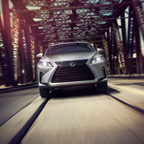Lexus RX Front
End