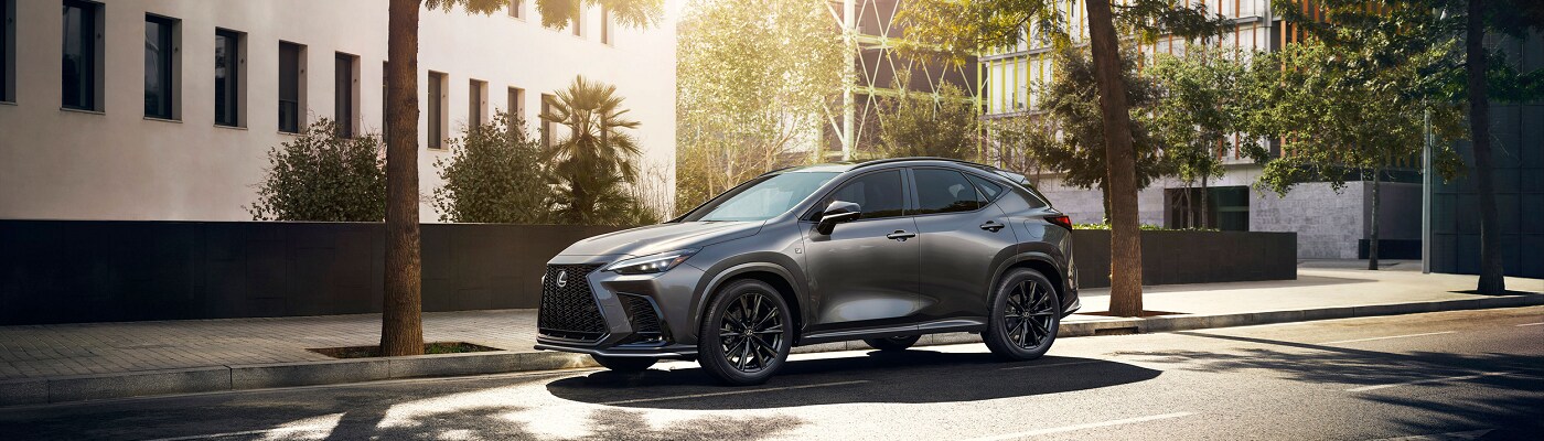 Lexus NX Grey Lexus NX parked in the city