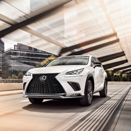Lexus NX SUV