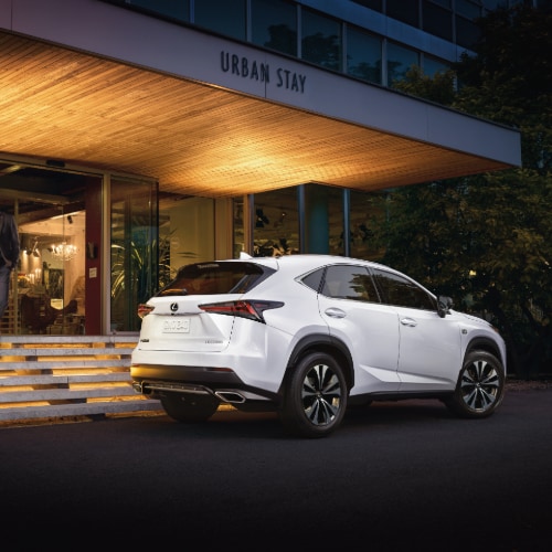 Lexus NX Rear
Exterior