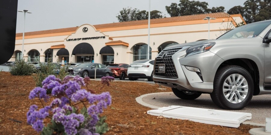 Lexus Serramonte Storefront Lexus Serramonte dealership exterior