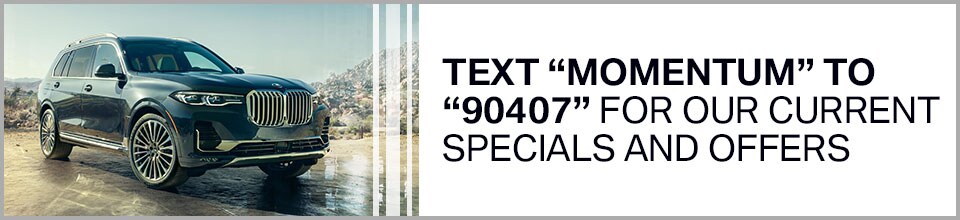 Text-Momentum-Skinny-Banner.jpg