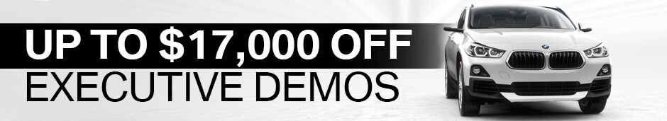 EXEC DEMOS.png