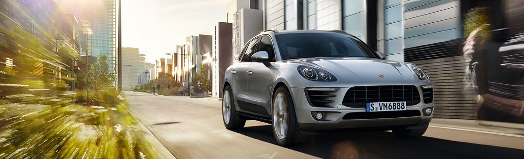 Macan 2.JPG