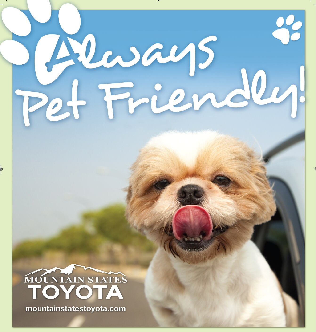 Pet Friendly 2.jpg