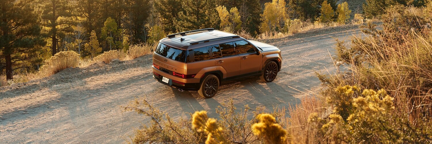 Hyundai Santa Fe Hyundai Santa Fe SUV