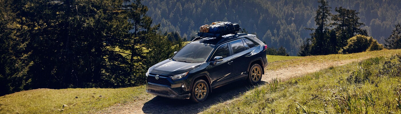 Toyota RAV4 Hybrid Woodland White Toyota RAV4 Hybrid Woodland driving on a dirt wood road