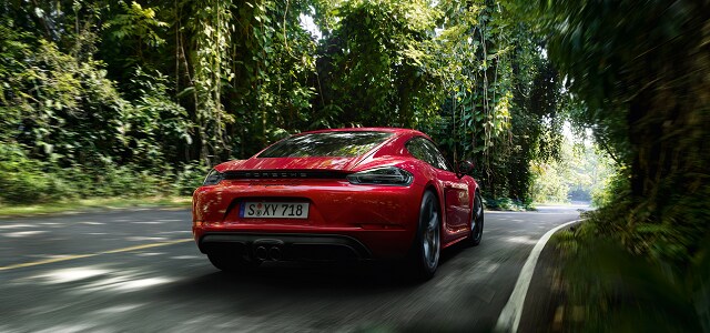 Porsche Cayman
GTS