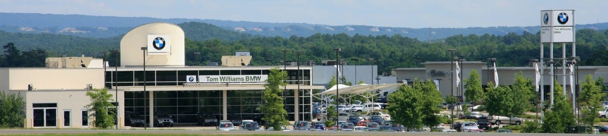 tom williams bmw.jpg