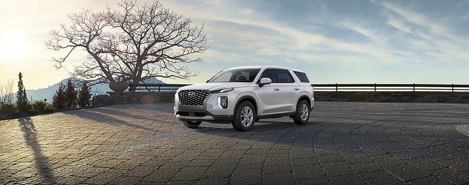 2021-Hyundai-Palisade-SE-SUV-L01.jpeg