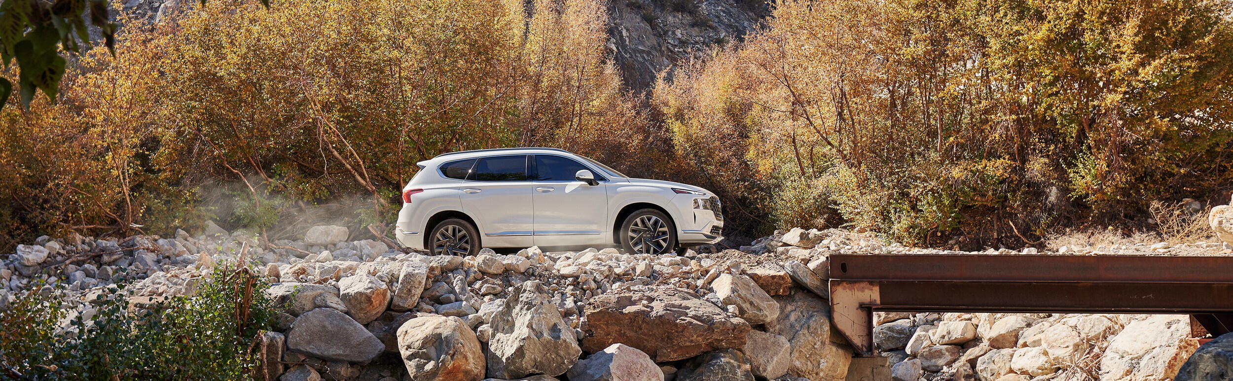New Santa Fe for Sale in Torrance CA