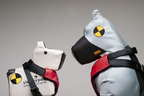sleepypod harness.jpg