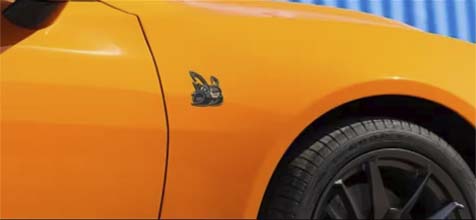 removeable rear-seat storage bin