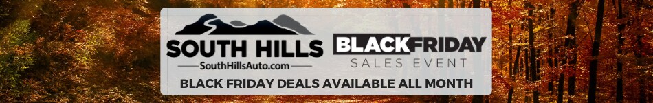 Black Friday BANNER (1).png