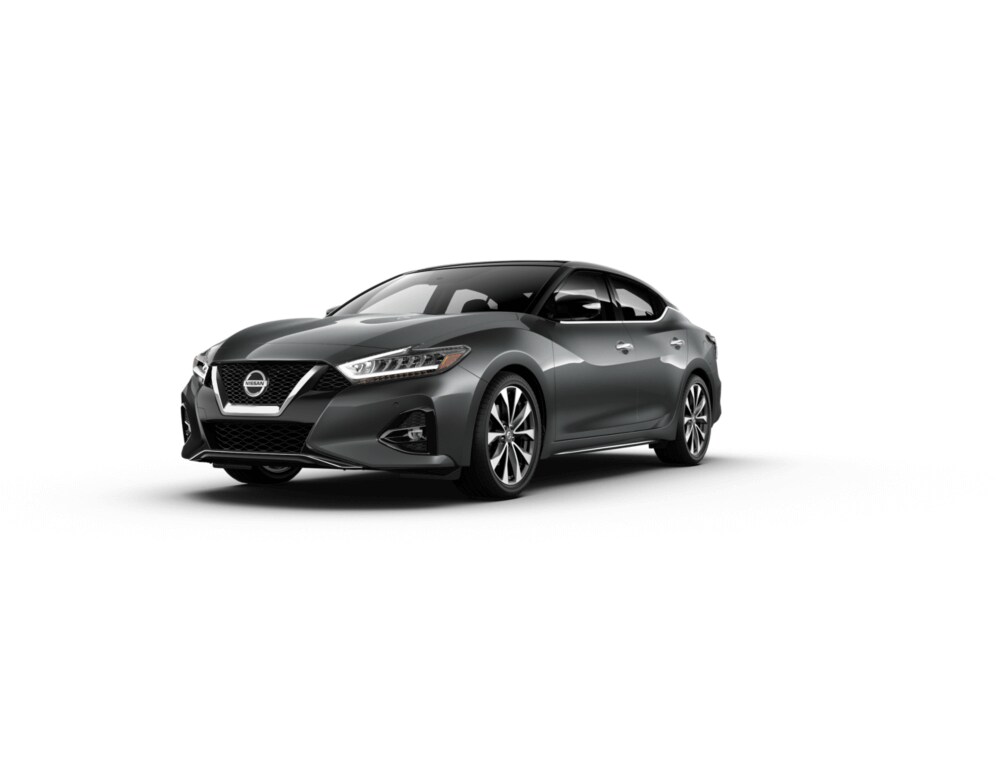 2019 Maxima Platinum 2019 Maxima Platinum