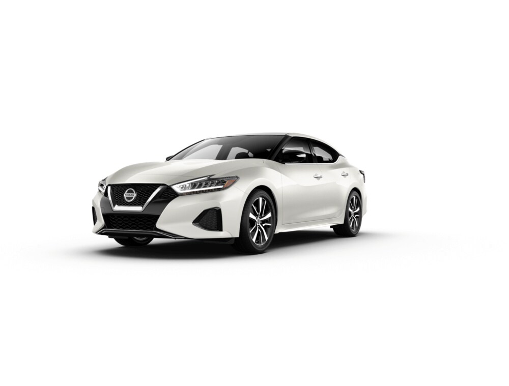 2019 Maxima SV 2019 Maxima SV
