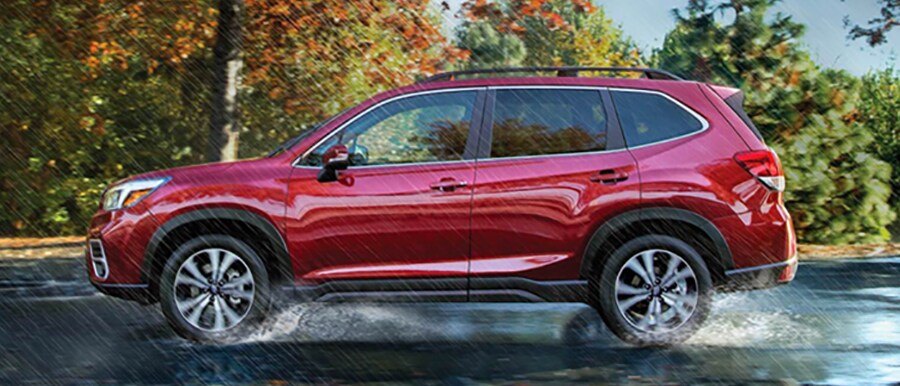 South-Shore-Subaru-SEO-2019-forester-3.jpg
