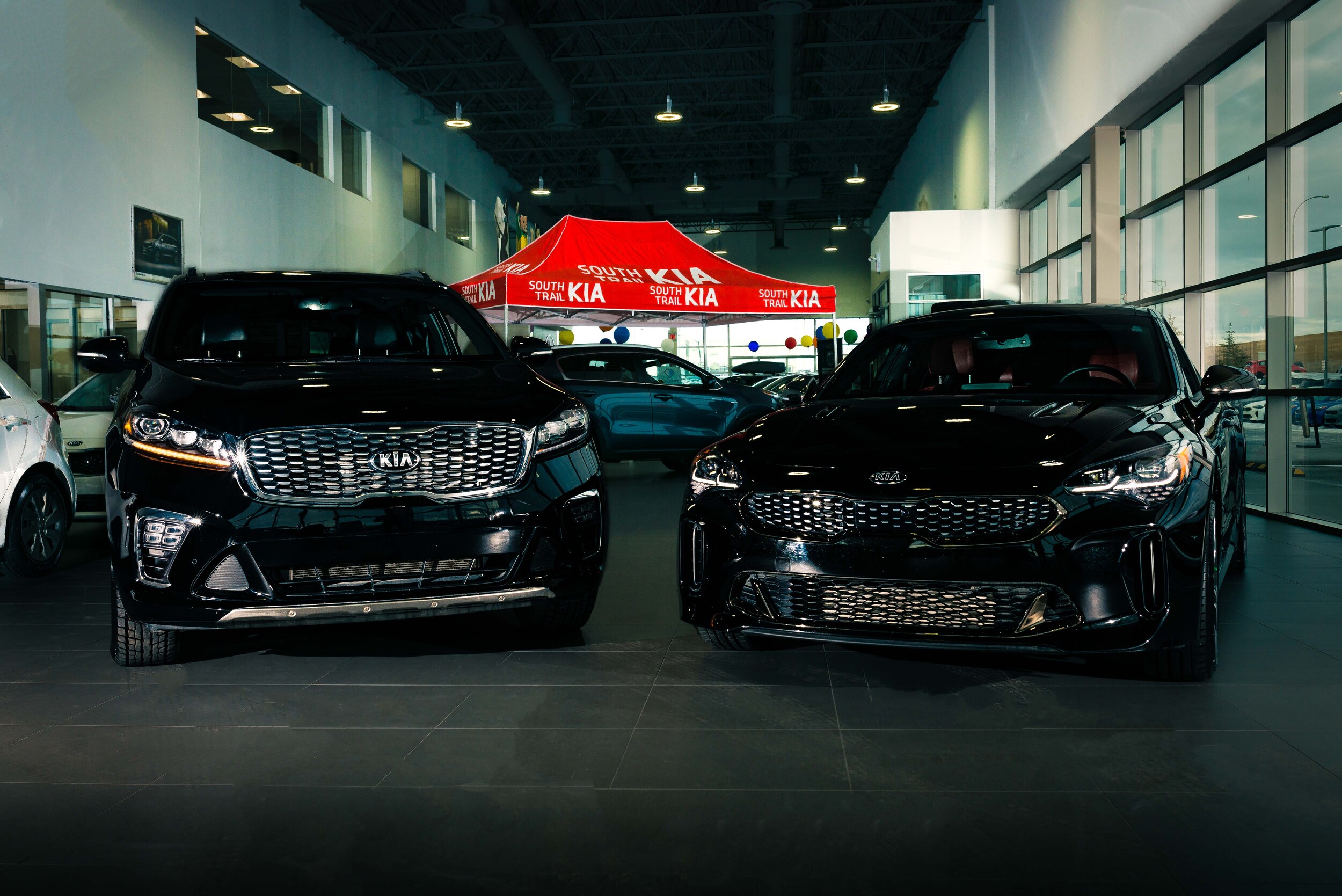 Demo Cars.jpg