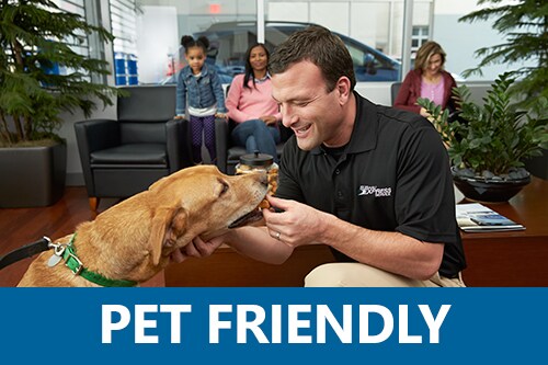 Pet Friendly