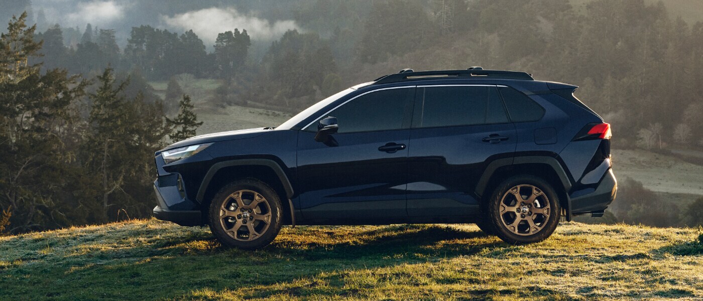 2025 Toyota RAV4 Exterior Valley