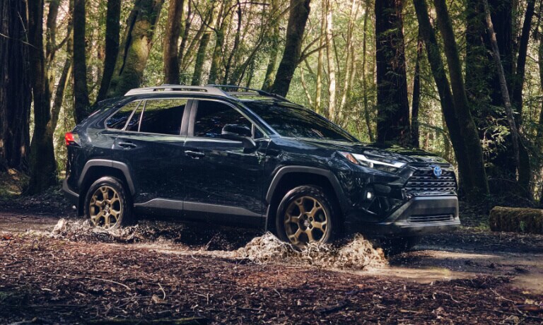 2025 Toyota RAV4 Exterior Deep Forest