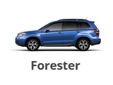 forester.jpg