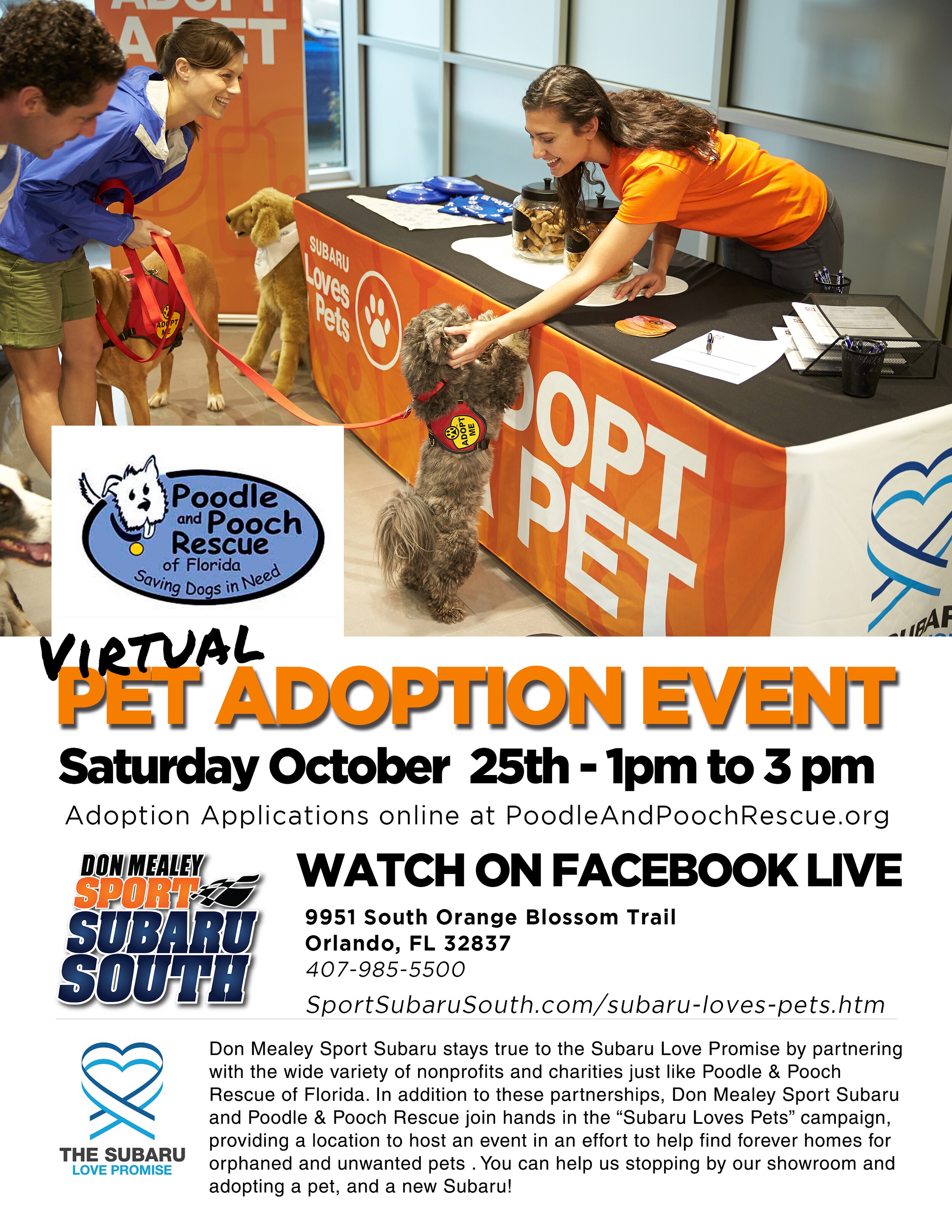 Pet Adoption Event - Oct 25th 2020.jpg