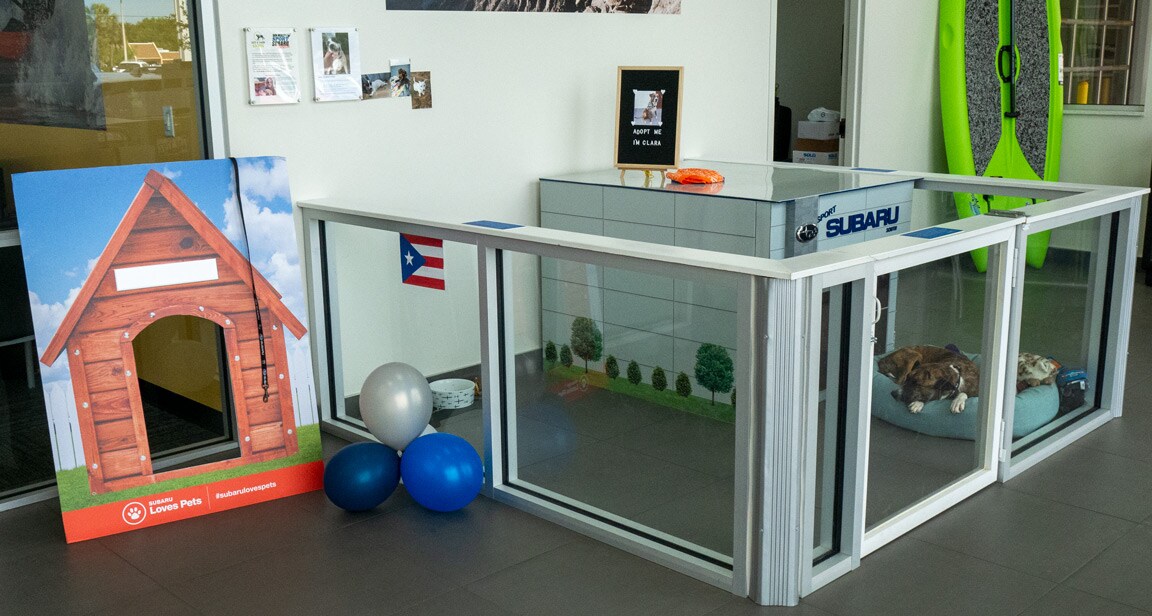 Sport-Subaru-South-Dog-House.jpg