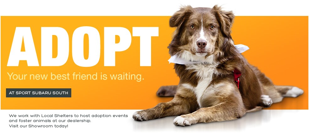 Pet-adoptions-at-Sport-Subaru-South.png