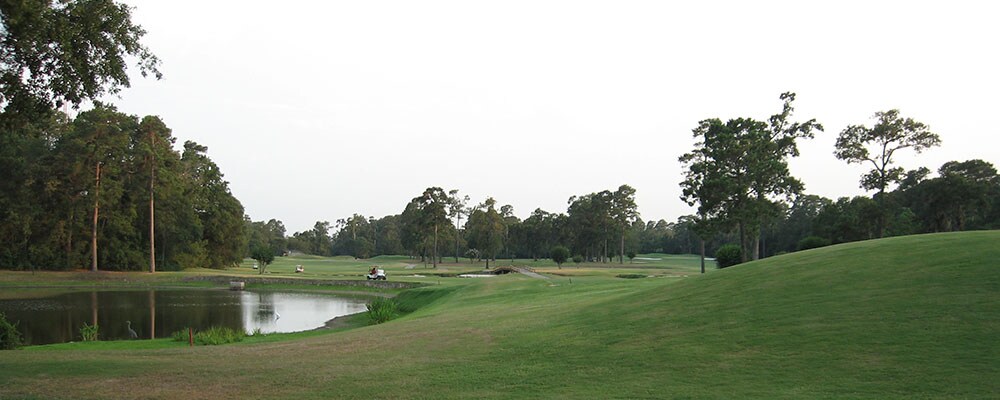 View of The Woodlands, TX