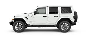 2018 Jeep Wrangler JL Sahara in Thomasville, GA, Monticello FL, and Madison County GA