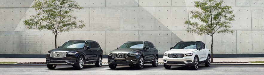 SUV lineup.jpg