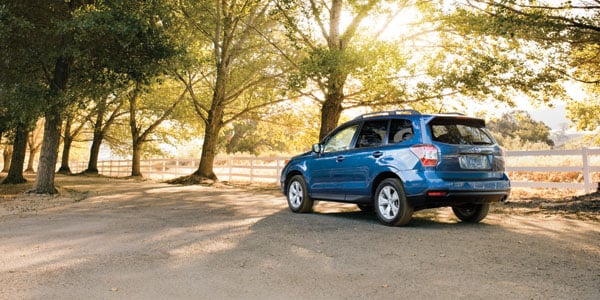 15 forester.jpg