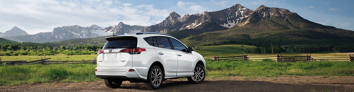 rav4.jpg