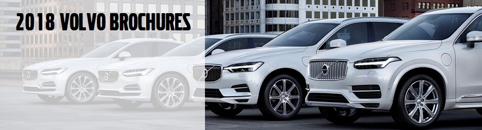 2018 Brochure Header.jpg