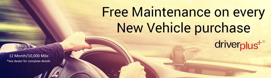Driver Plus Program
