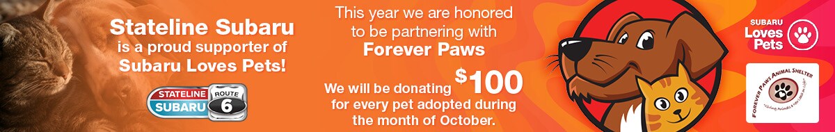 Pets1200x37523 2020 .jpg
