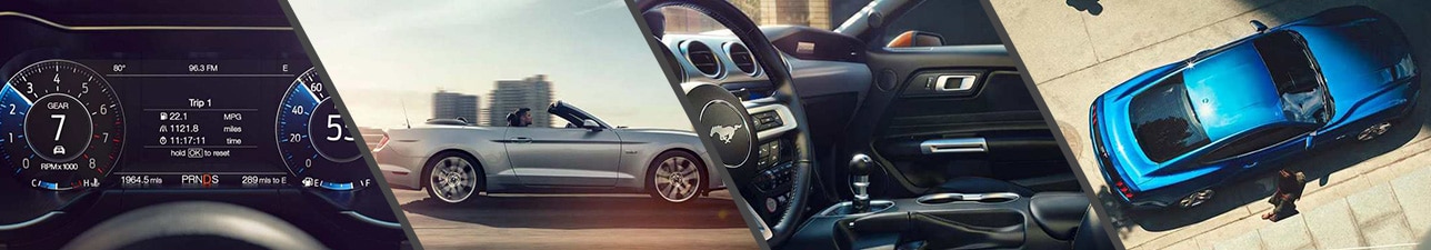 New 2018 Ford Mustang for Sale Burlington NC