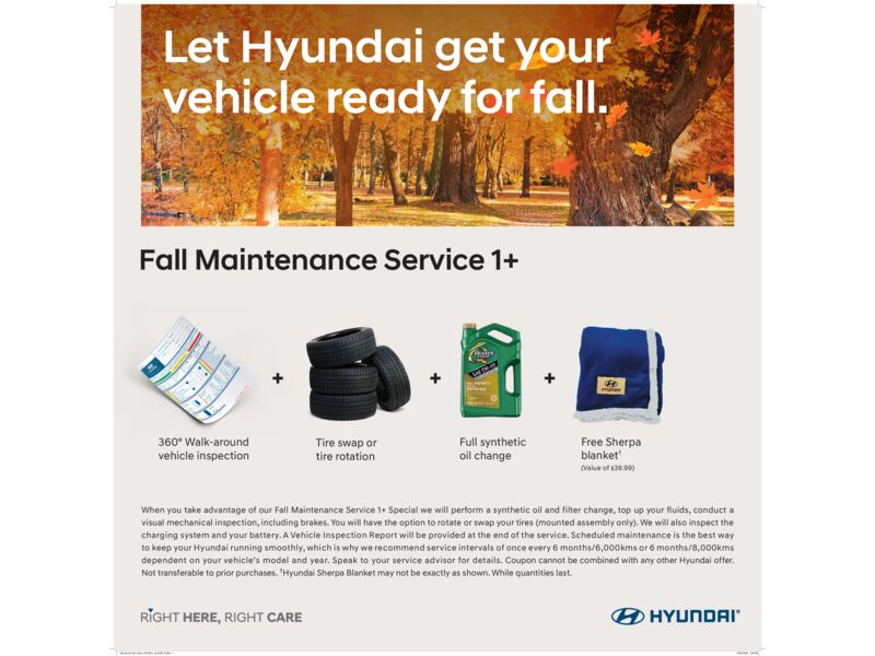 Fall maintenance 2.jpg