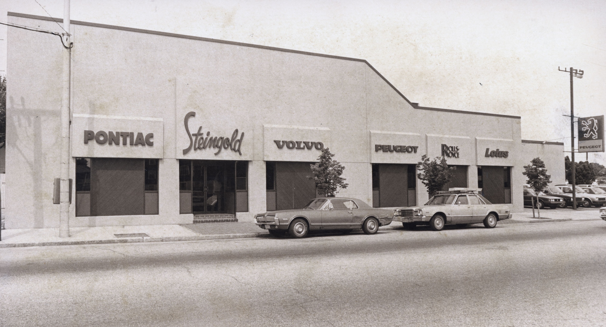 STEINGOLD%20OLD%20PHOTO%201%202000.png
