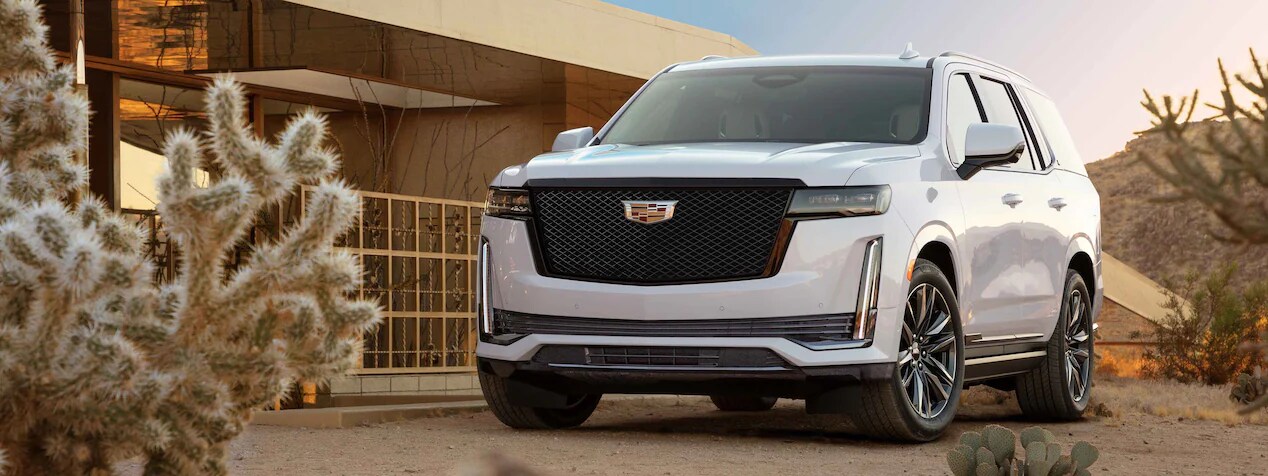 ESCALADE IN DESERT