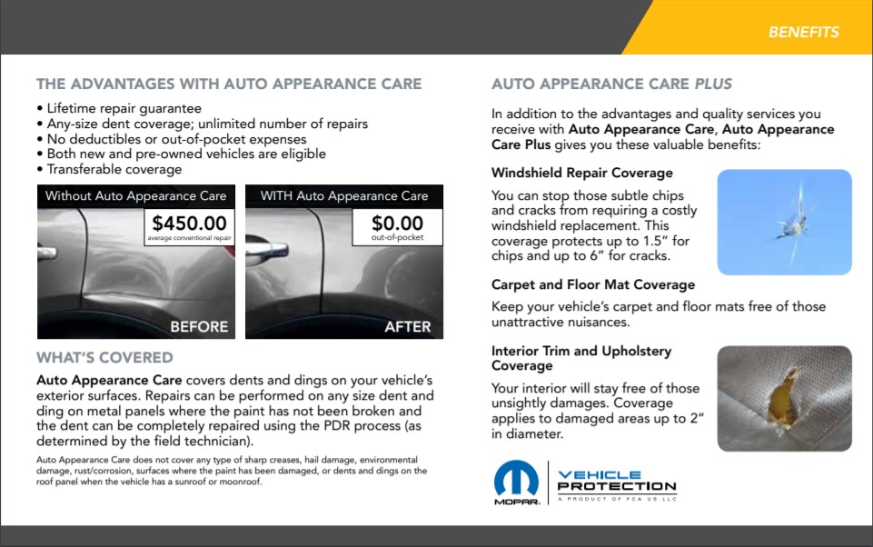 Auto Appearance Protection Plan 3.PNG