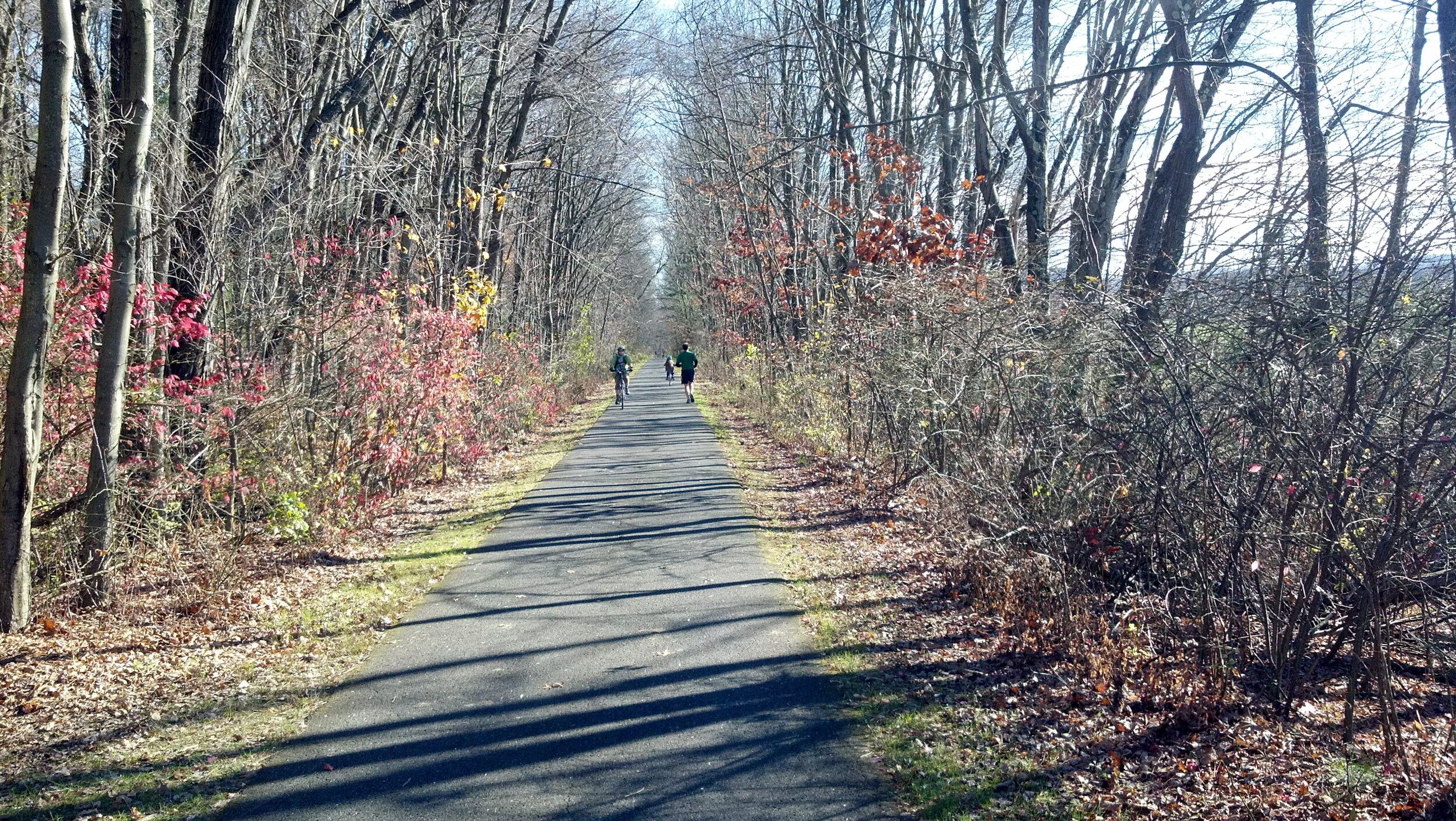 norwottuck-bike-trail.jpg