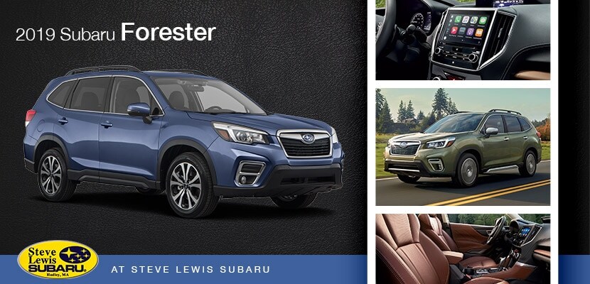 Steve Lewis Subaru 2019 Forester Promotional Overview of 2019 Subaru Forester