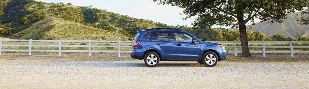 2015 Subaru Forester History of the Subaru Forester - blue 2015 Subaru Forester in Hadley, MA