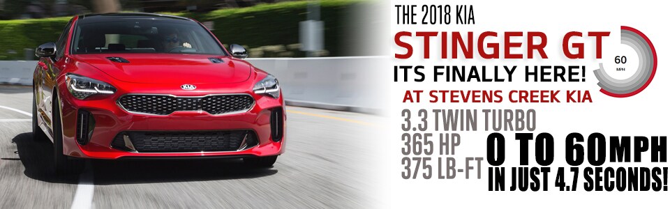 Stinger page Header.jpg