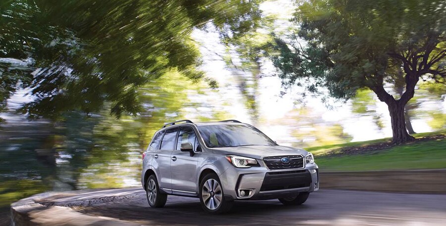 2017_forester.png