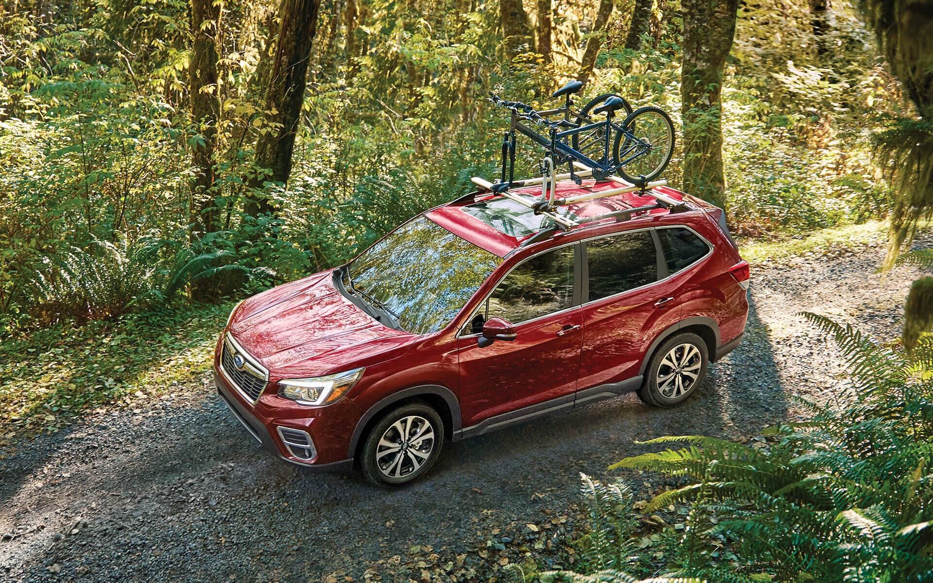 Forester.png