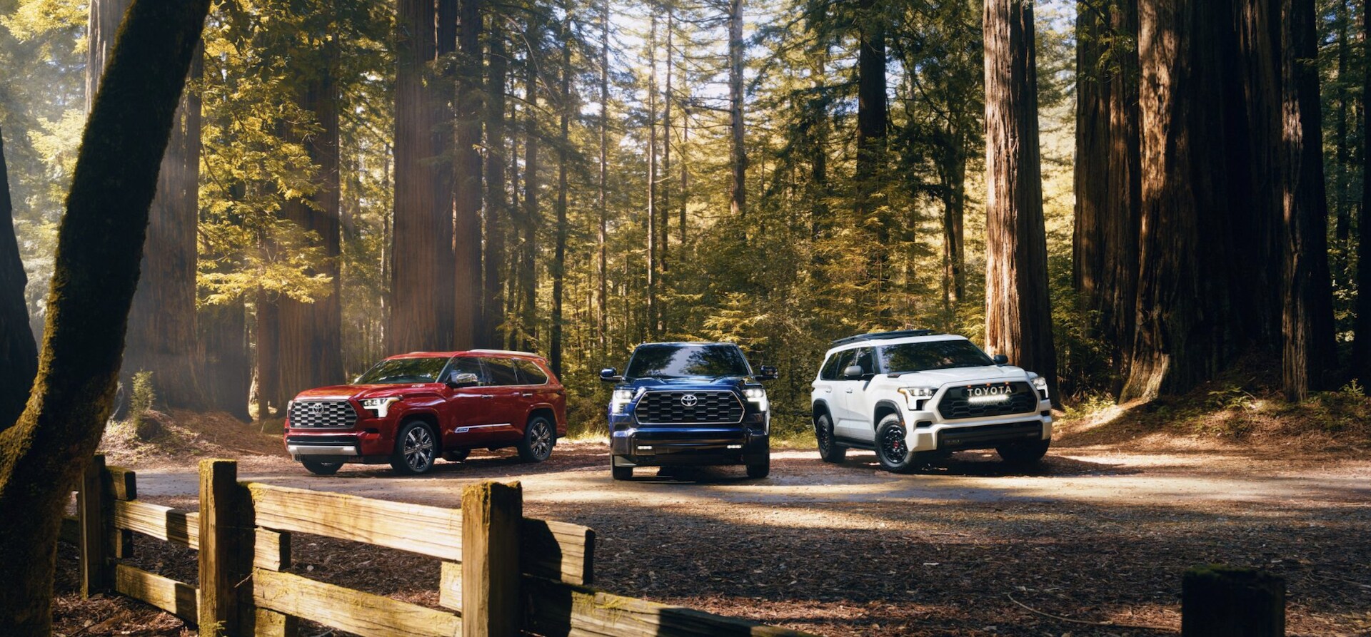 New 2025 Toyota Sequoia Lineup.png Three 2025 Toyota Sequoia SUVs Near Me in Corsicana, TX